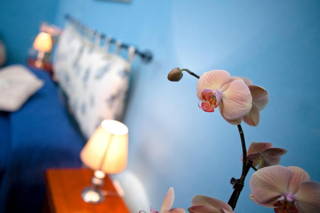 B&B Dimora San Vincenzo Gallipoli Phòng bức ảnh